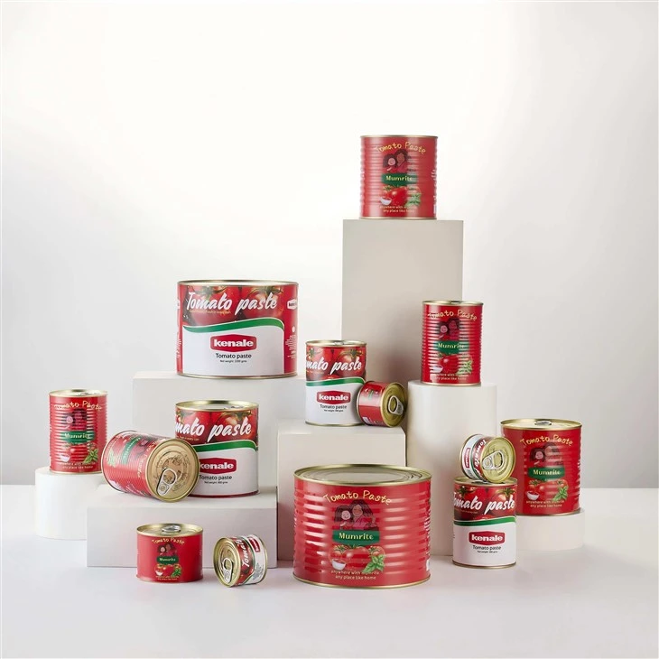 Hard Open Canned Tomato Paste price